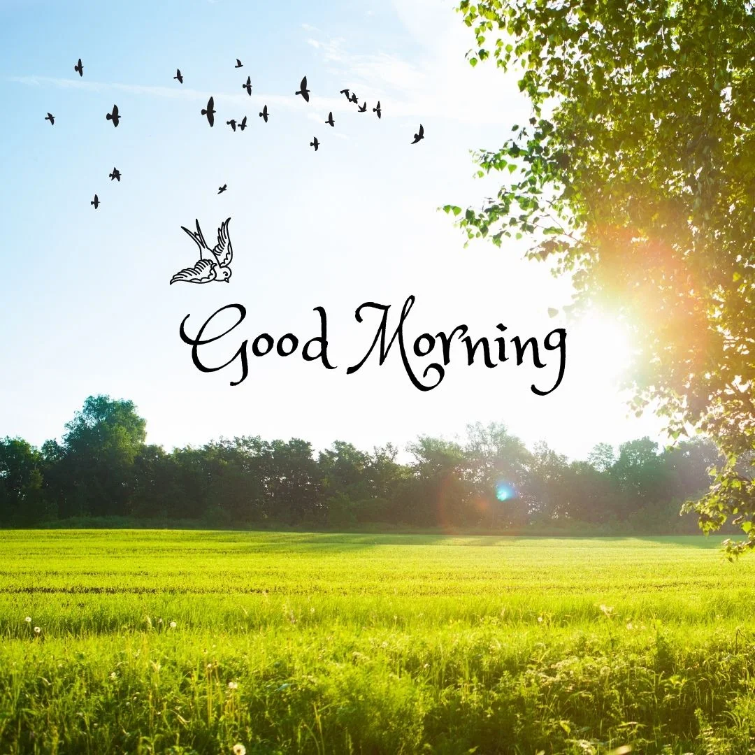 80+ Good morning images free to download 31